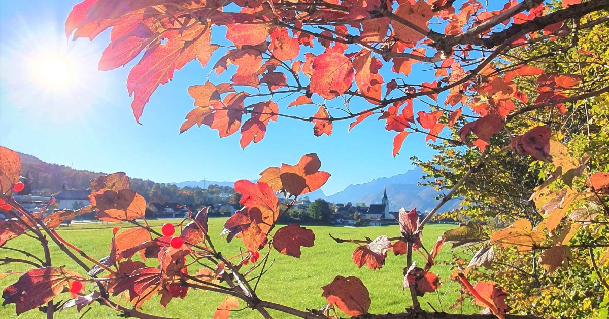 Panoramablick Puch im Herbst © TVB Puch